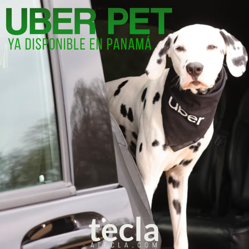 Viaja con tu mascota Uber Pet disponible en Panamá TeclaATecla